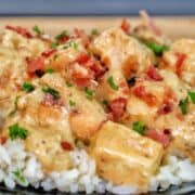 Creamy smothered chicken served over a bed of fluffy white rice, topped with crumbled bacon and chopped parsley for garnish.