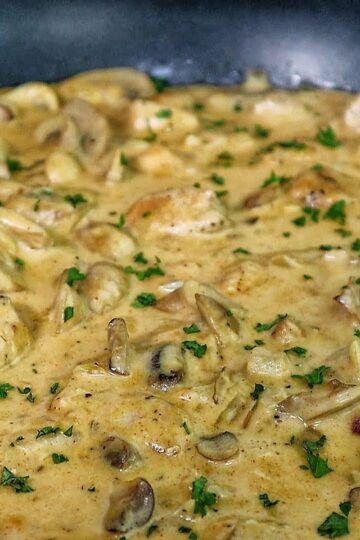 creamy chicken mushroom stroganoff, featuring tender chicken pieces and sautéed mushrooms coated in a rich, golden sauce, garnished with fresh parsley.