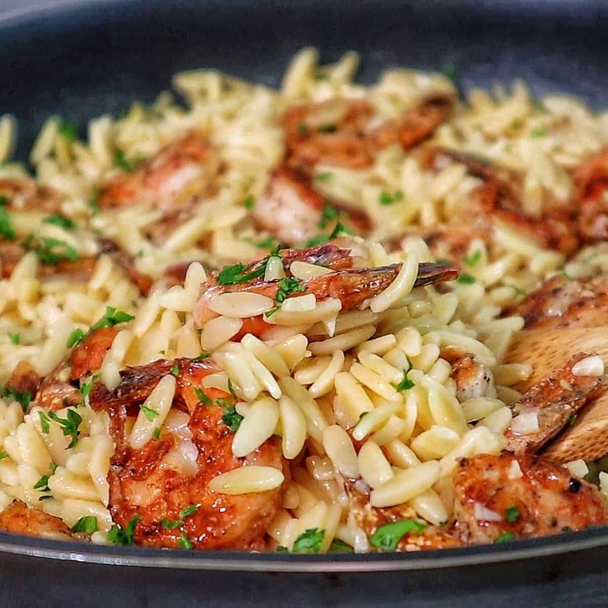 Parmesan Shrimp Orzo Pasta
