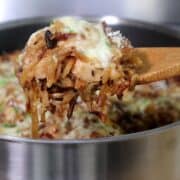 Golden, cheesy French onion chicken casserole made with orzo pasta, caramelized onions, shredded chicken, and melted mozzarella