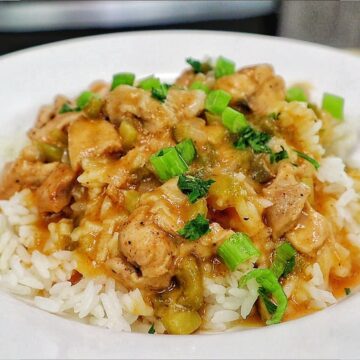 A bowl of homemade Chicken Étouffée served over fluffy white rice, with tender Cajun-seasoned chicken in a rich brown gravy with onions, celery, bell peppers, and topped with fresh green onions and parsley.