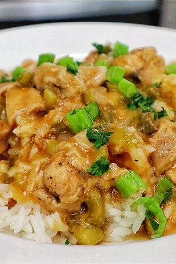 A bowl of homemade Chicken Étouffée served over fluffy white rice, with tender Cajun-seasoned chicken in a rich brown gravy with onions, celery, bell peppers, and topped with fresh green onions and parsley.