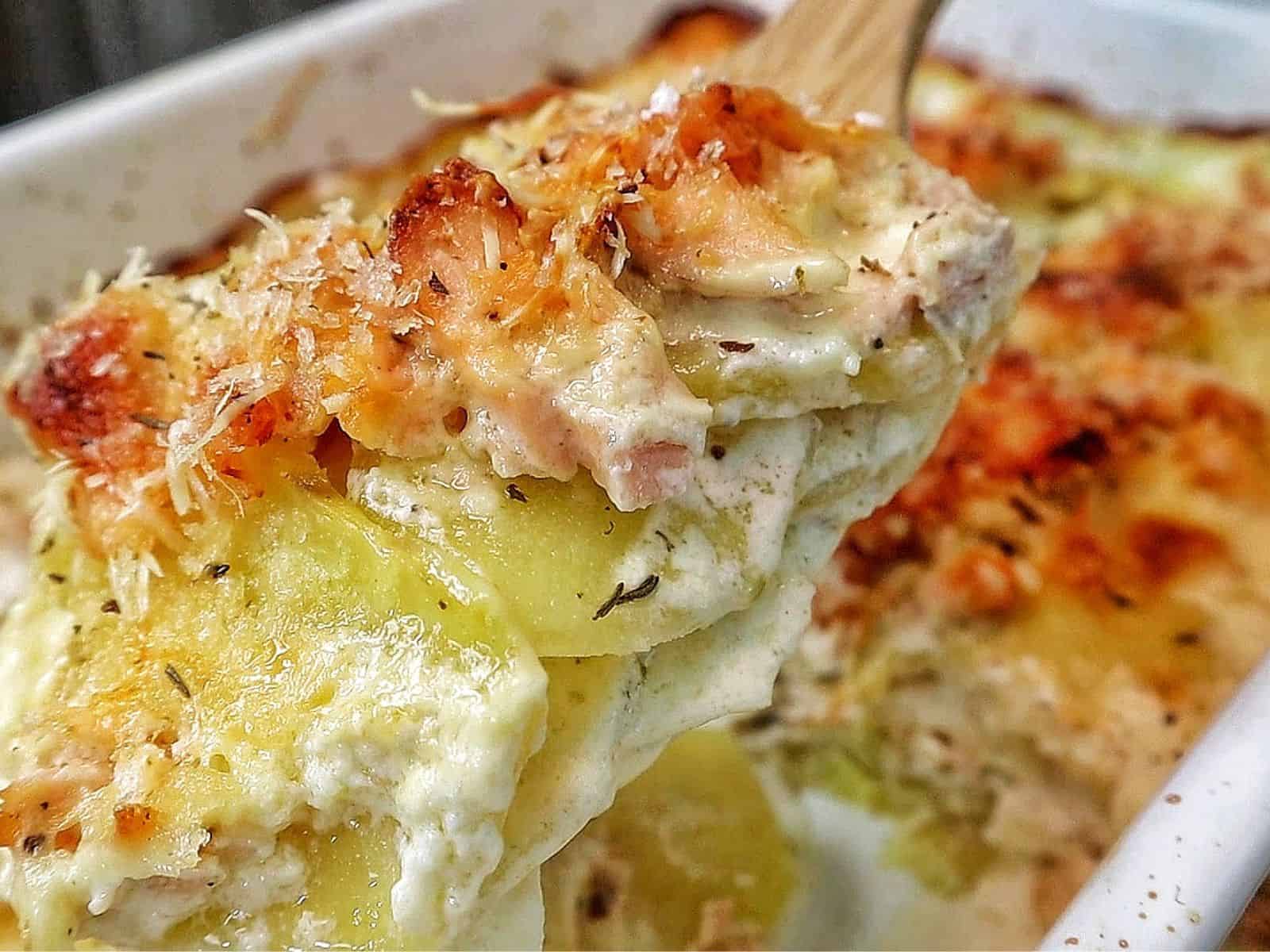 Golden brown salmon potato au gratin baked in a casserole dish with layers of tender sliced potatoes, flaky salmon, creamy parmesan sauce, and a crispy panko topping.