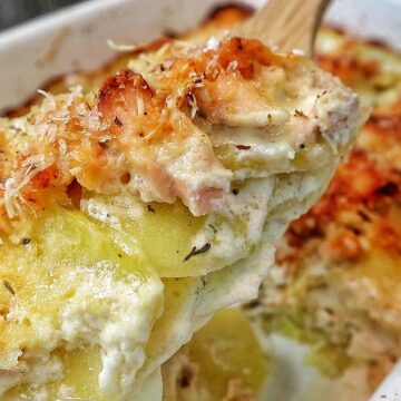 Golden brown salmon potato au gratin baked in a casserole dish with layers of tender sliced potatoes, flaky salmon, creamy parmesan sauce, and a crispy panko topping.