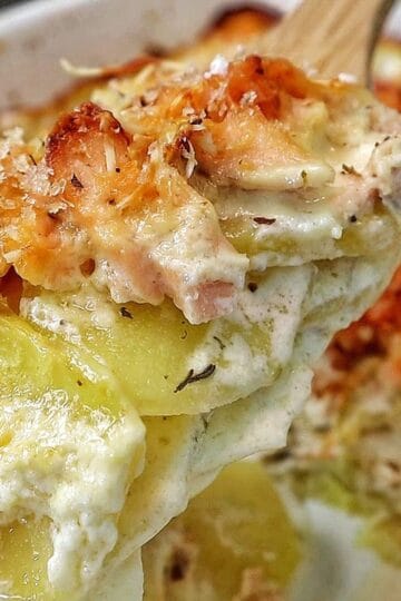 Golden brown salmon potato au gratin baked in a casserole dish with layers of tender sliced potatoes, flaky salmon, creamy parmesan sauce, and a crispy panko topping.