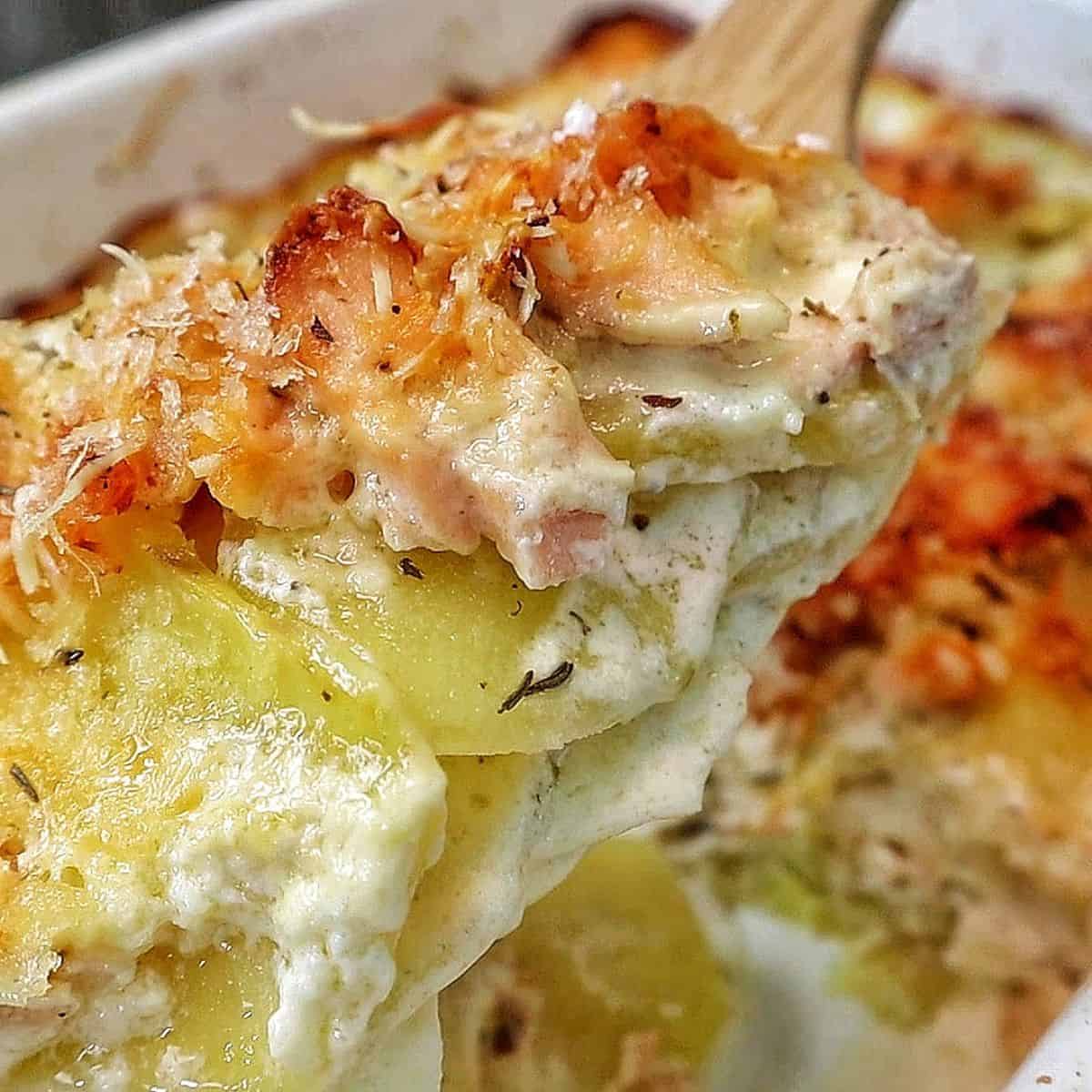 Salmon Potato Au Gratin