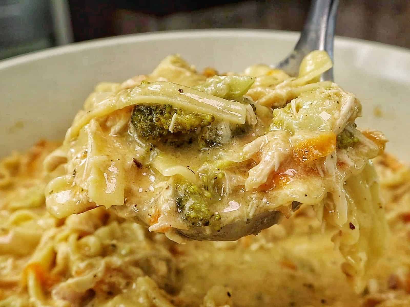 Creamy Broccoli Cheddar Lasagna Soup served in a white bowl with shredded chicken, tender lasagna noodles, broccoli florets and carrots in a rich cheddar cheese broth.