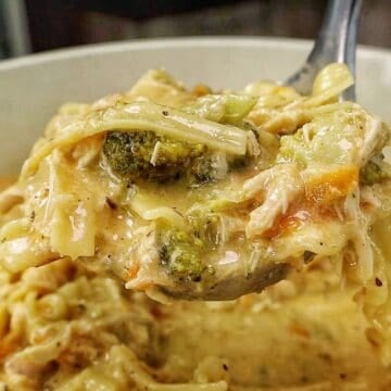 Creamy Broccoli Cheddar Lasagna Soup served in a white bowl with shredded chicken, tender lasagna noodles, broccoli florets and carrots in a rich cheddar cheese broth.