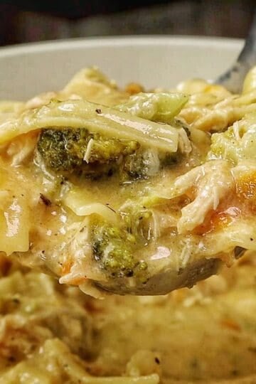 Creamy Broccoli Cheddar Lasagna Soup served in a white bowl with shredded chicken, tender lasagna noodles, broccoli florets and carrots in a rich cheddar cheese broth.